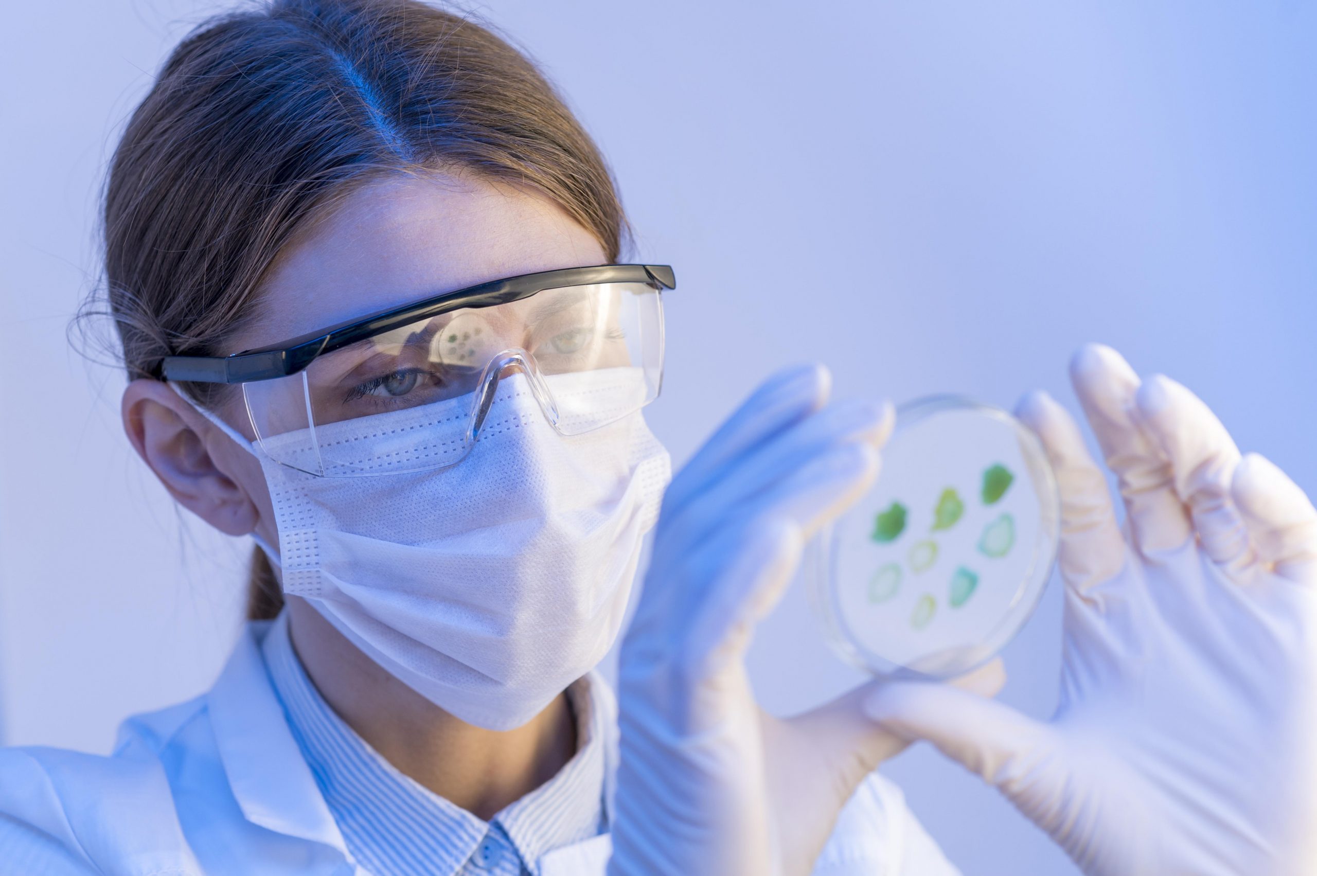 Sabor com segurança: como as Análises Microbiológicas transformam a indústria alimentícia ??