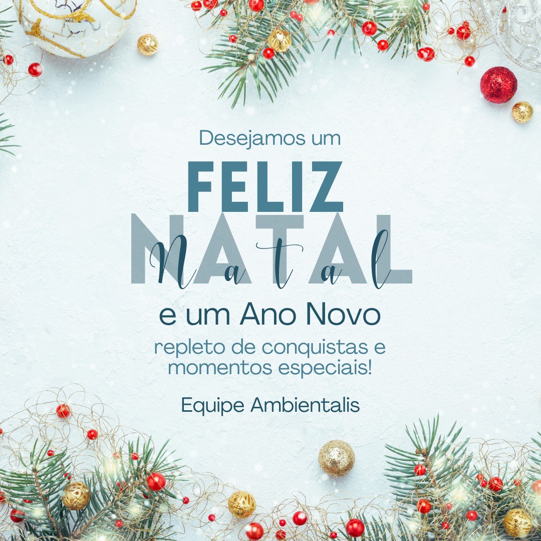 ✨ Feliz Natal e um Próspero Ano Novo!✨